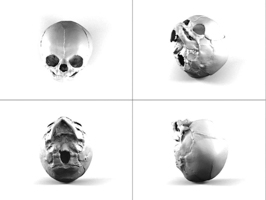 3D scans of a human skull