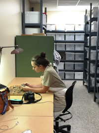 Student at a desk with specimens