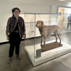 A person standing beside a glass display case containing the taxidermy model of an Irish Wolfhound.